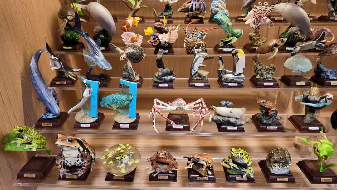 展会落幕、通贩将至:11月的“达尔文来了”,生物扭蛋党现在该怎么买?