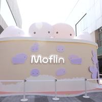 399元的毛绒玩偶卖了一年、一半买走的是成年女性：AI玩具的陪伴，按每天24分钟计费