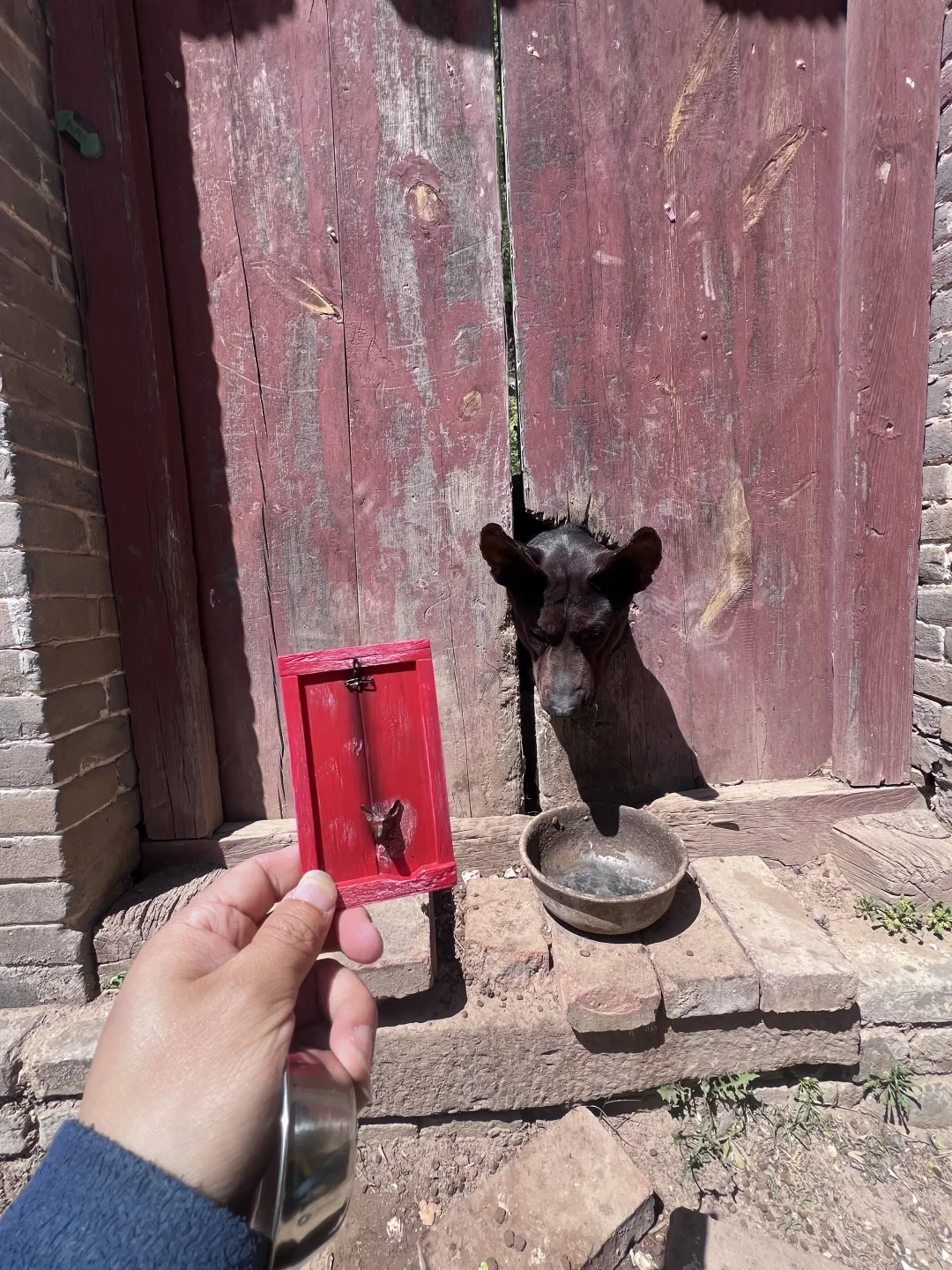 一只狗啃出的“出头之日”火了,寺院却说:冰箱贴真不是我卖的