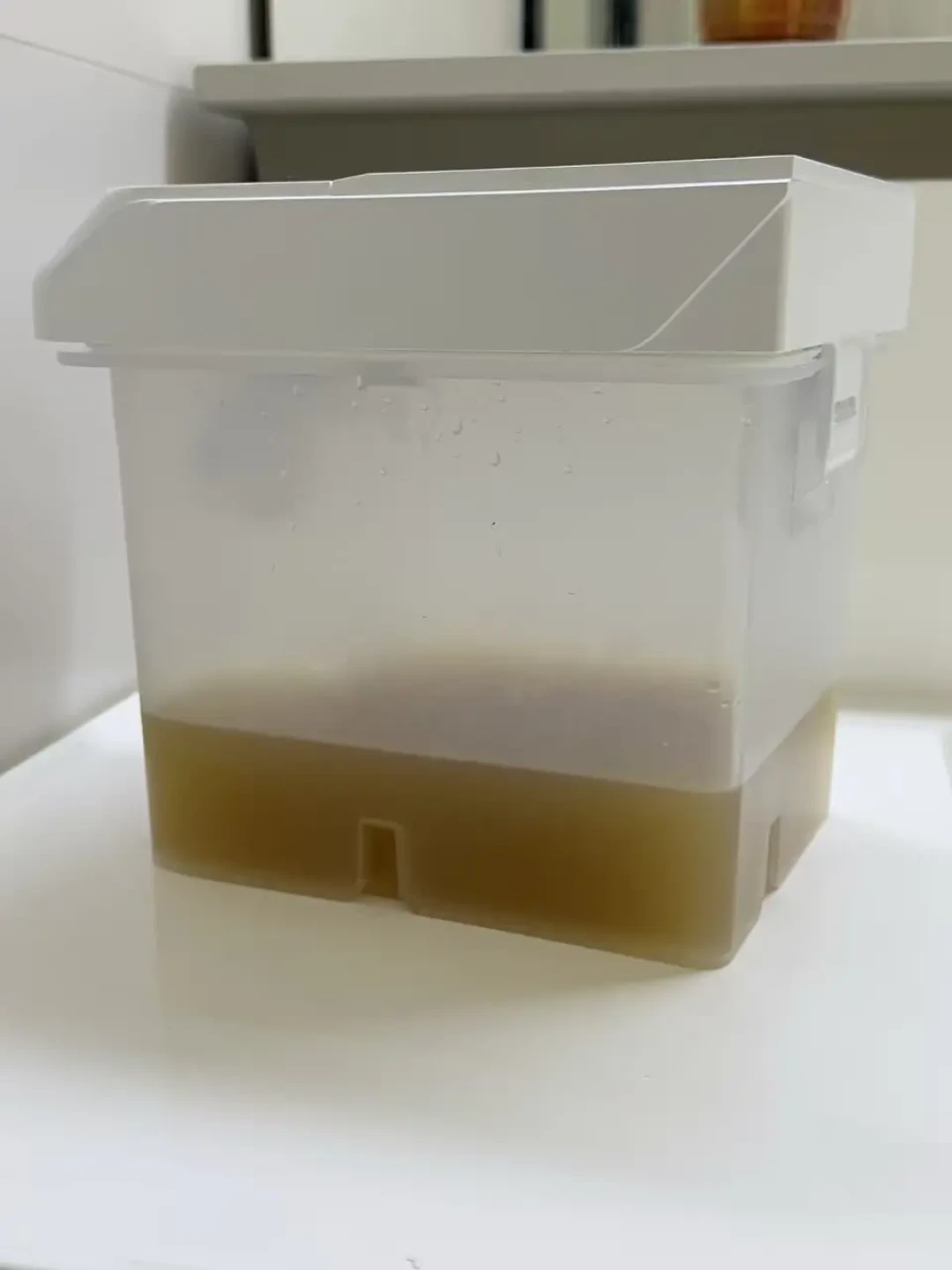 都在晒云鲸JX Ultra,真实买家半个月后才认3点,这2点先别指望