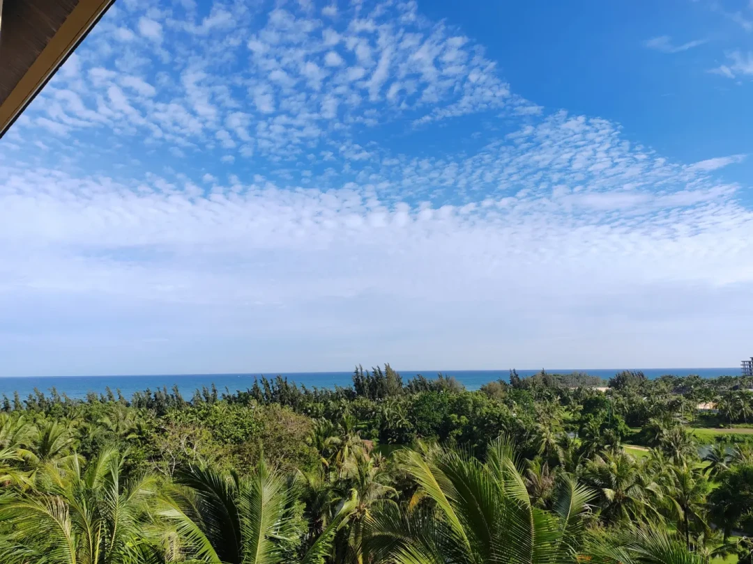 同一张雅高白金,三种兑现世界:20+篇实测帖扒完,免房券只该砸进这2类酒店