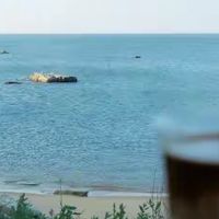 淡干海参复水好不好，标签上这四个数更实在