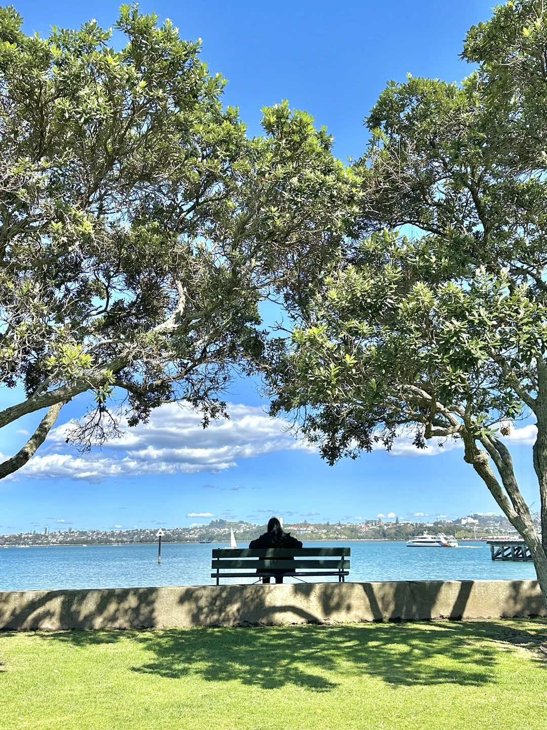 澳签免签去新西兰进入倒计时:11月初政策到期,想赶圣诞档去新西兰,先把这5件事算清楚