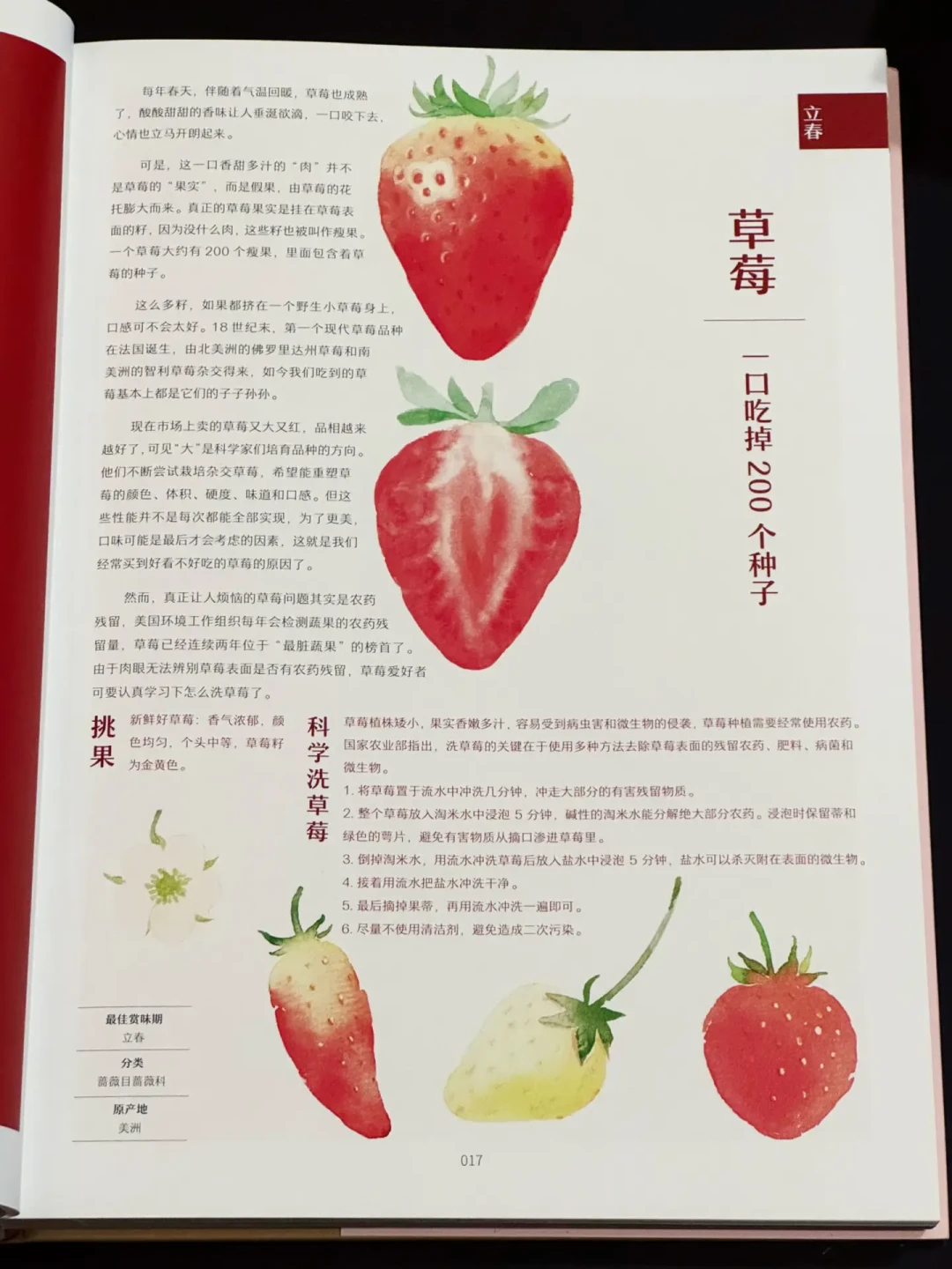 有的娃科普听了800小时，有的娃翻两页就坐不住：双11故事机和会员打折前，先把4类科普分清