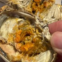九月母蟹爆膏？这口鲜谁懂啊