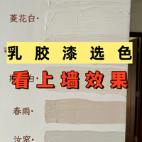 乳胶漆选色,看上墙效果