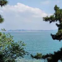 中老年人鱼油怎么选：六款候选按配方路线与使用条件解析