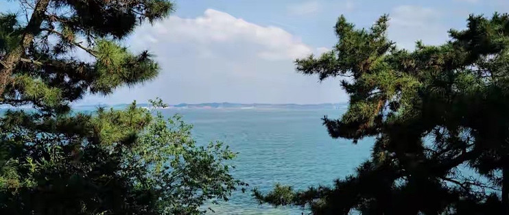 中老年人鱼油怎么选：六款候选按配方路线与使用条件解析