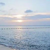 挑干海参我走了三段弯路：芝素堂、卓岳、好当家页面我是这么读的