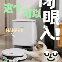 扫拖机器人，我家猫喜欢，才行！科沃斯T90S PRO不错！