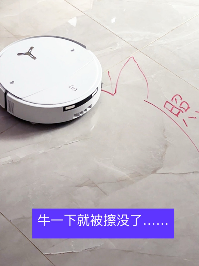 科沃斯扫拖一体机