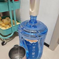 双枪折叠抽水器实测