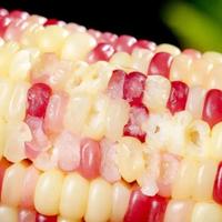 避开这些素菜升糖陷阱！低升糖烹饪与科学搭配全攻略