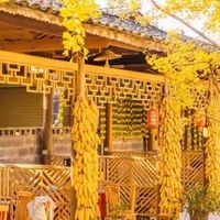 成人藻油DHA怎么选｜先分清补充目的，再比较五款产品