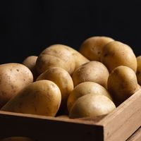 这些素菜是“升糖陷阱”：吃多了控制不住血糖