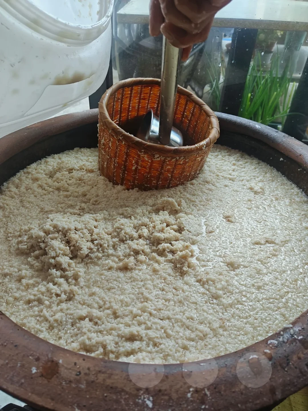陶缸中整缸发酵的酒酿