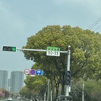 打工人通勤必看：AI智能红绿灯下的“绿波带”跟车技巧