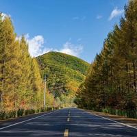 新方盒子回家两星期，想带它去拍第一组秋片：扒完红叶窗口期和几十篇车拍攻略，周六6点出发定了，第一件事是今晚把车洗干净