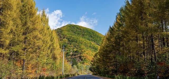 新方盒子回家两星期，想带它去拍第一组秋片：扒完红叶窗口期和几十篇车拍攻略，周六6点出发定了，第一件事是今晚把车洗干净