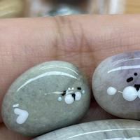 年轻人养石头当宠物：不铲屎不掉毛，0元到上百元都有人花