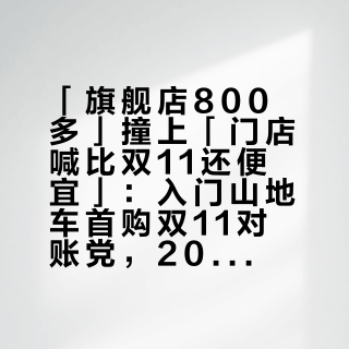 「旗舰店800多」撞上「门店喊比双11还便宜」：入门山地车首购双11对账党，20号晚8点闸门前，先把价梯、轮径、验车这三本账对完