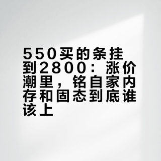 550买的条挂到2800：涨价潮里，铭瑄自家内存和固态到底谁该上
