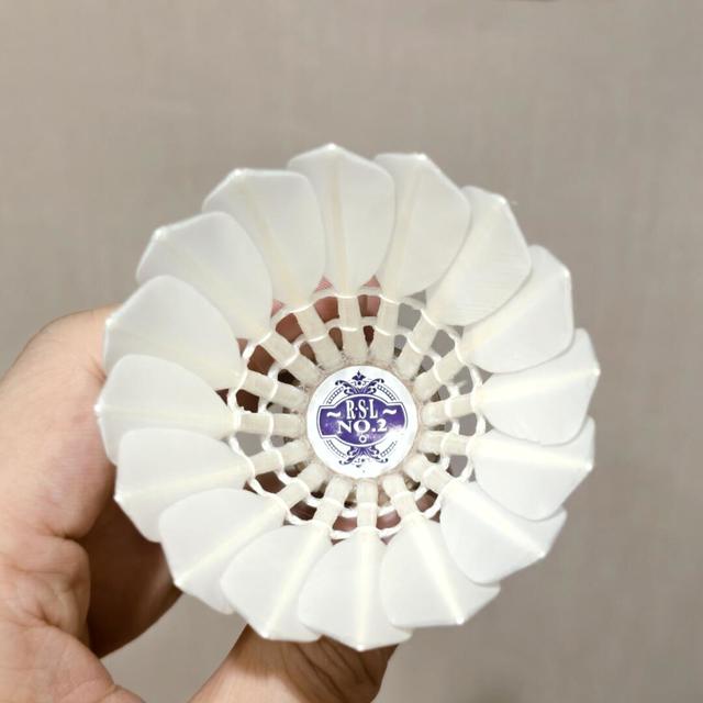 羽毛球退烧三成，亚狮龙“爱马仕”跌到130：高端线能闭眼冲吗