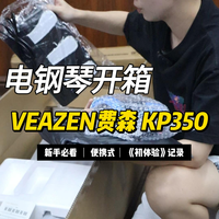 千元预算能买到靠谱电钢？费森KP350开箱实测
