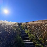 重阳热搜全是膝盖：下山真会"费腿"吗？先别急着给登山杖花钱