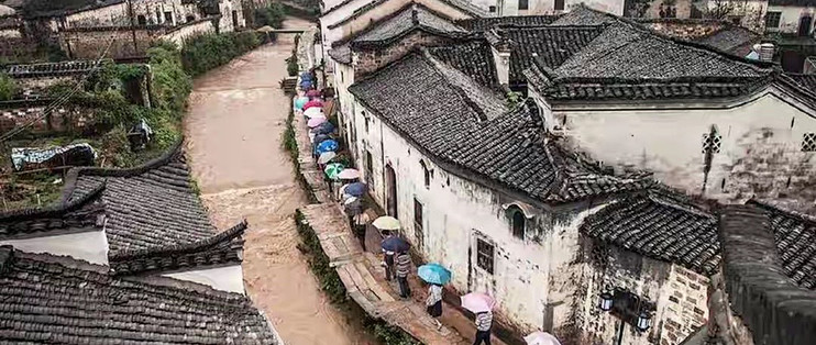 加班久坐期，我记录的 7 款益生菌