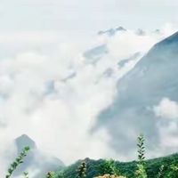 鱼油性价比怎么判断？我把六款的核对过程记下来