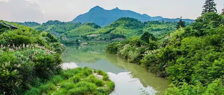 蛋白粉选购指南：五款蛋白粉不同蛋白路线怎么比较