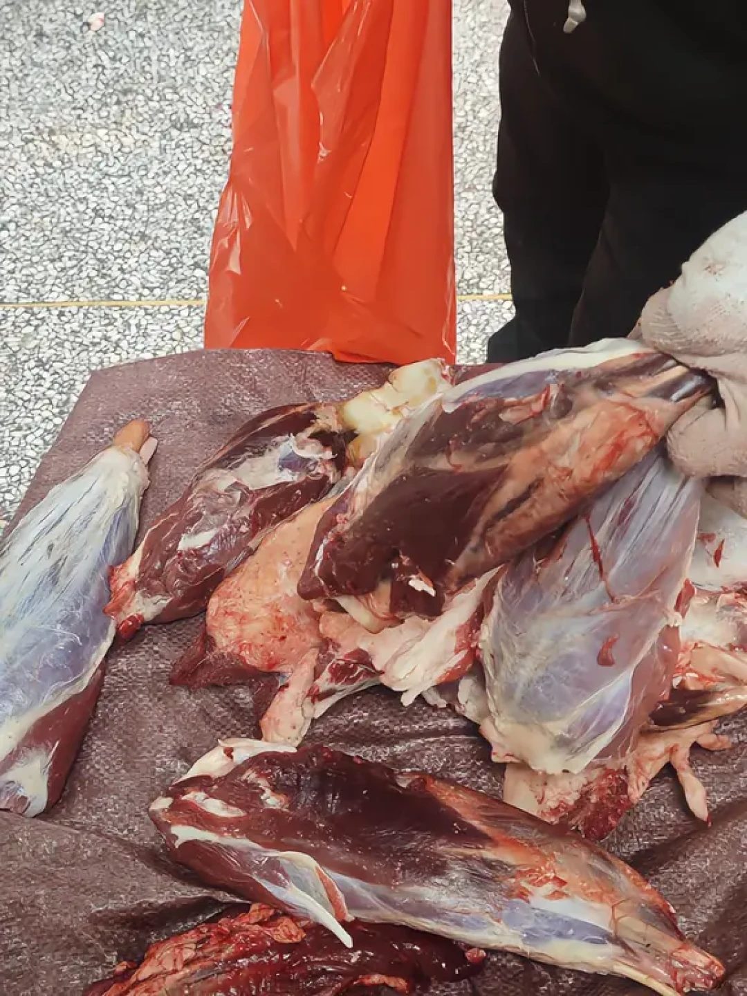 羊肉四年真涨价的第一年:先别急着囤,也先别急着骂店贵,这波羊行情的日历、部位价盘和