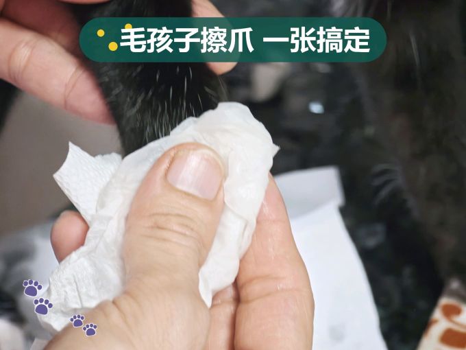 抽纸