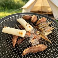 烧烤新手必看：火生不起来、调料调砸了？5分钟搞定，避开这10个坑