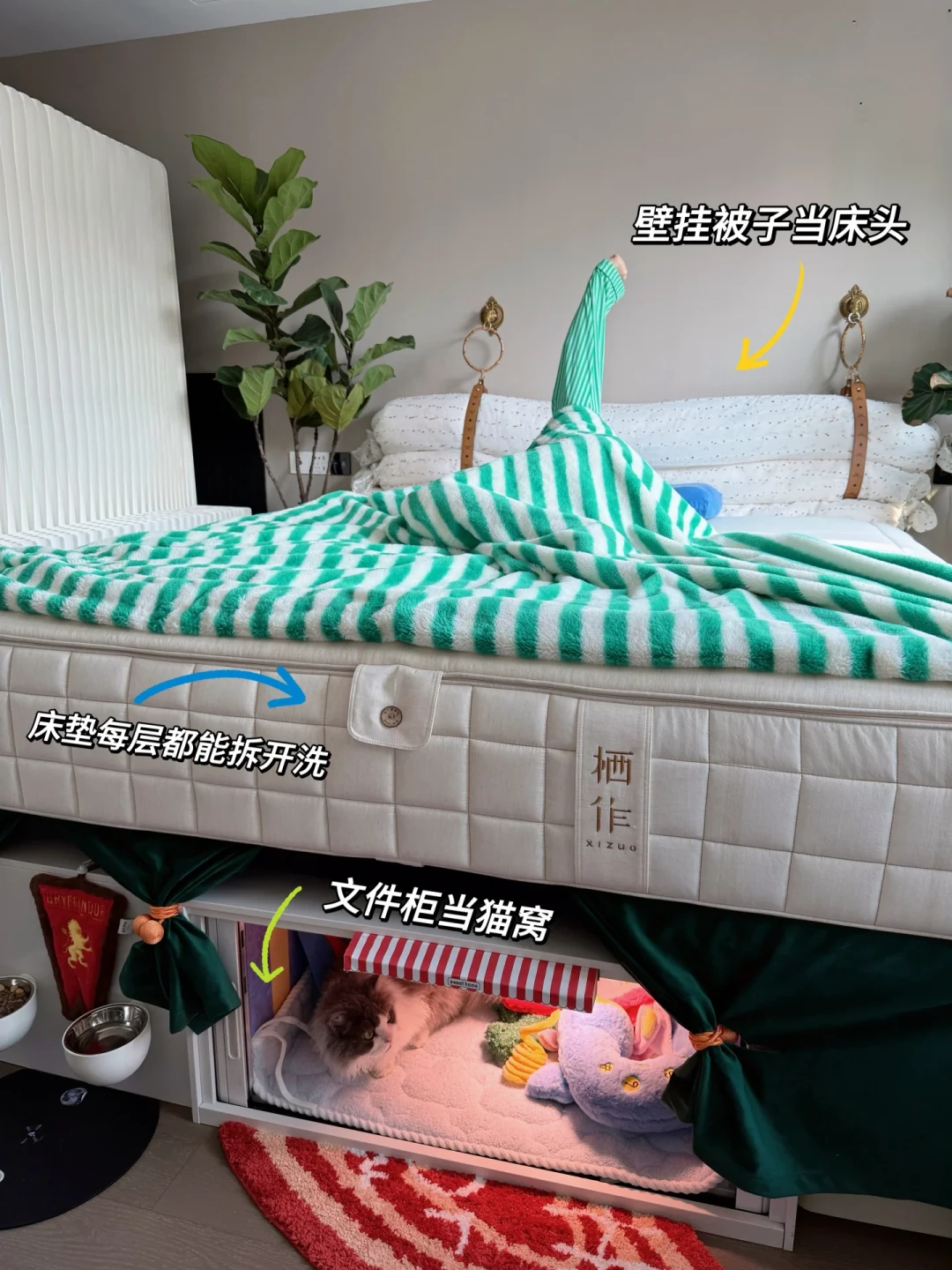 在栖作和蓝盒子间纠结的人,缺的不是一篇测评,是一张