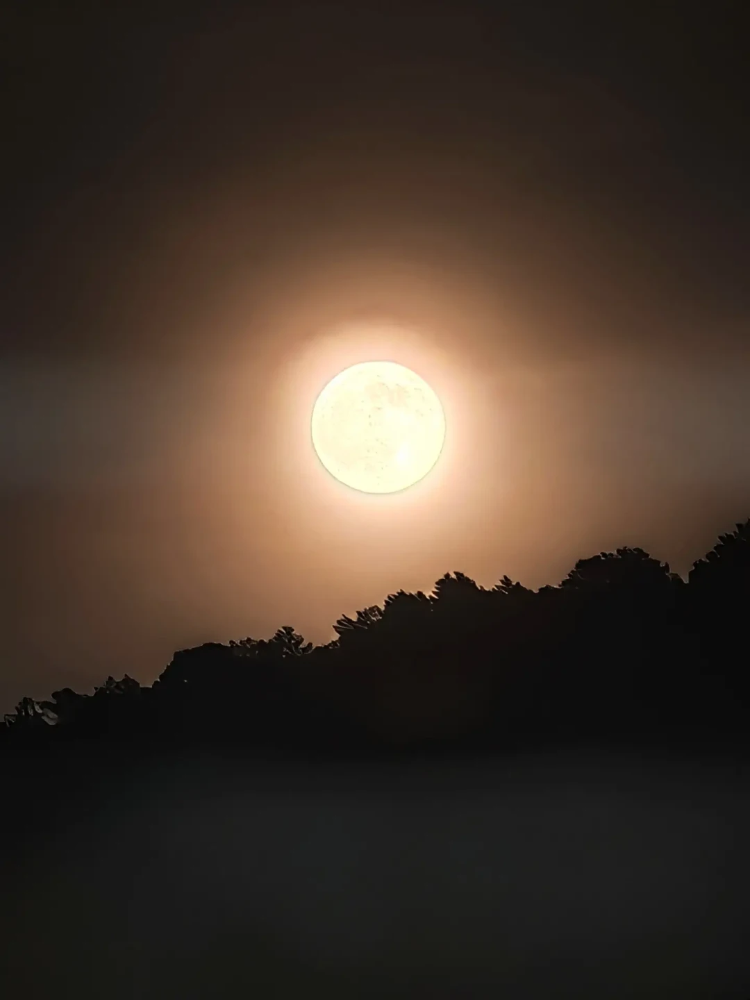 第一次营地过夜还剩5天,女儿又问"黑不黑":我连要拍的星空都选好了,扒完攻略和月历,周六的月亮九成多圆,星星泡汤——改拍月光风光和光绘,星空挪到下个月新月夜