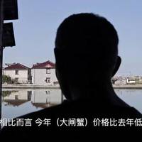 大闸蟹跌出十年低价、双11生鲜明晚开卖 | 食品生鲜10.19日报