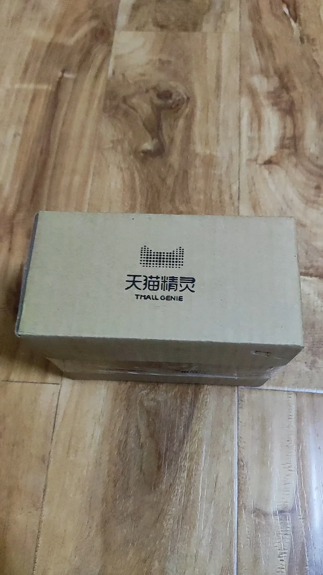99块的天猫精灵只是门票:翻了半年