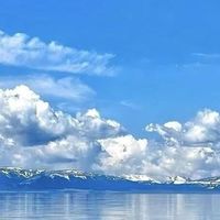 去屑越洗越严重？分清头皮状态选去屑洗发水，一篇教你怎么挑
