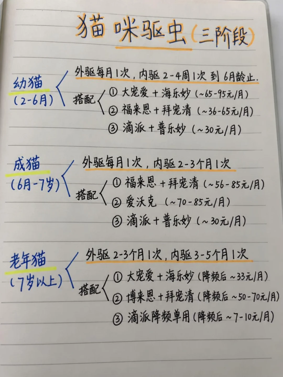 撸猫致盲新闻一年第3波:14岁男孩视力只剩0.02,先别送走猫,把传染链拆开看