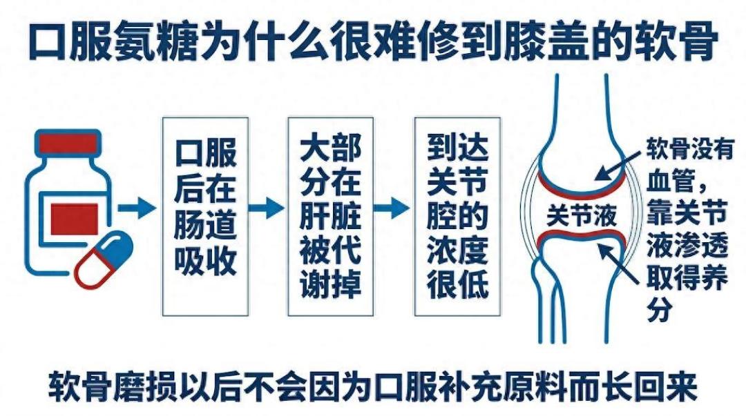 氨糖被传“加速痴呆”:那篇+25%的研究点名的,是这类人,不是所有在吃氨糖的老人