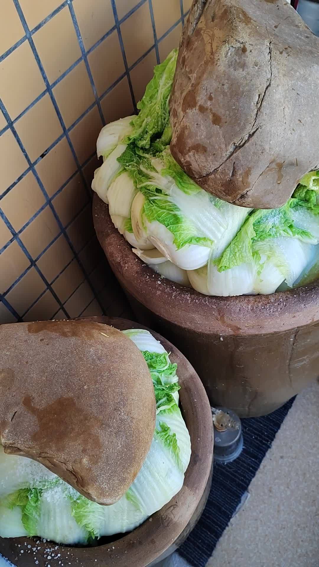 腌酸菜别在头一周开坛!亚硝酸盐峰值就藏在这几天,安全窗口只有两段