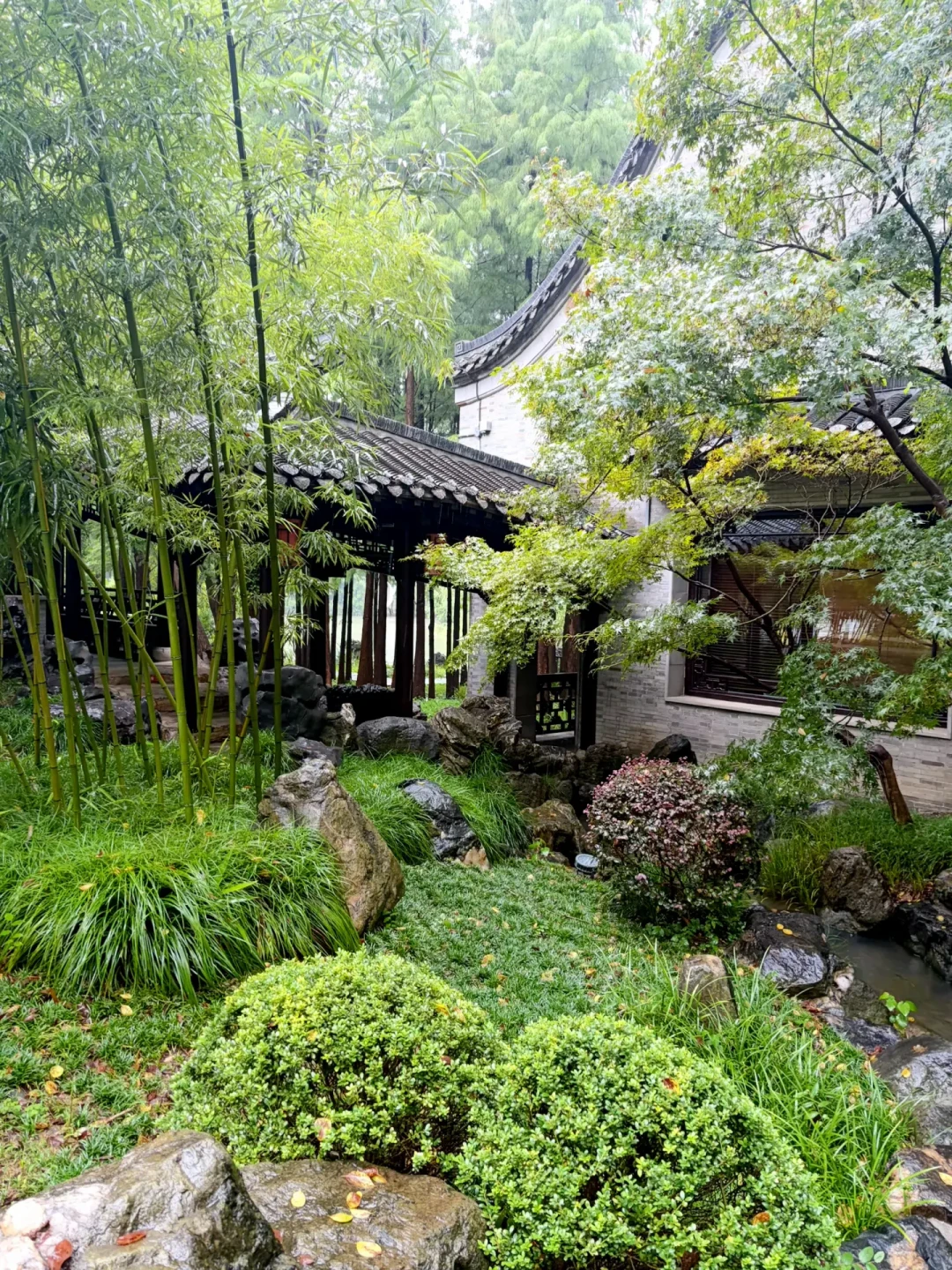 酒店送你免费旅拍,为什么你还多花了360块?三亚加片100元/张,扬州5元/张