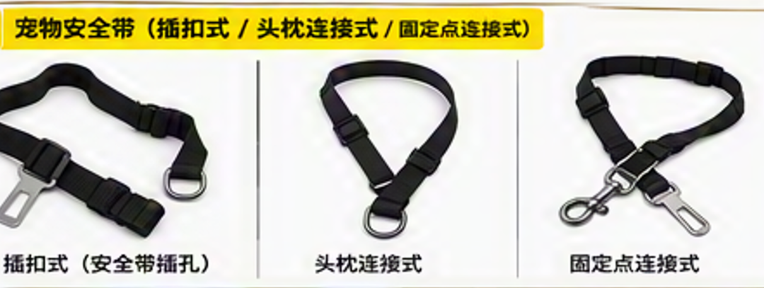 带狗坐车,安全带还是航空箱?先量狗和车,再定固定方案