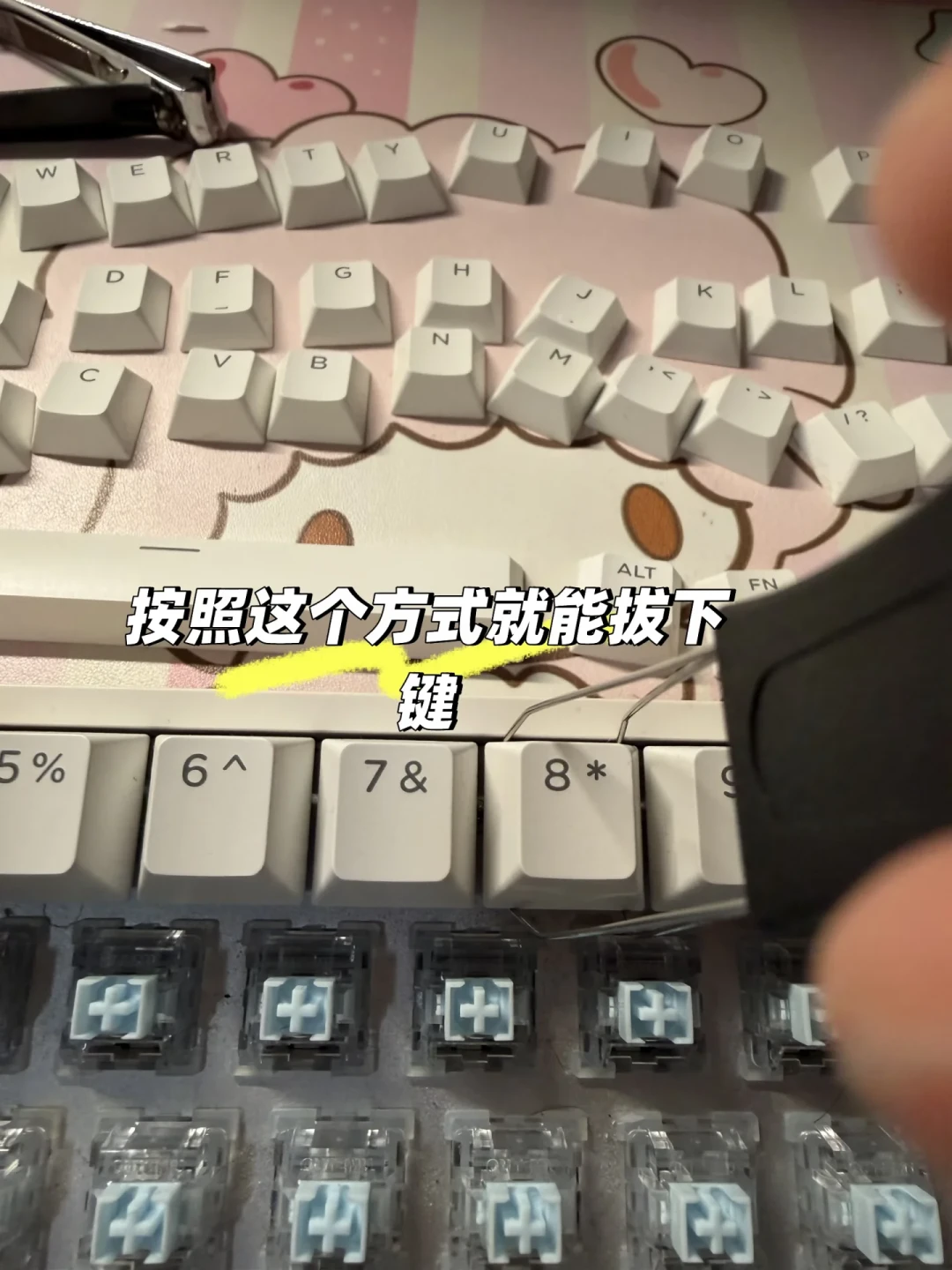 按一次W蹦出一排W?狼蛛连击4步自救,最后那条质保还能翻旧账