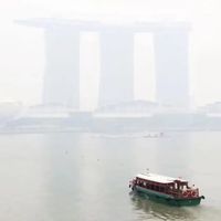 小米18家门店售罄！新加坡十余年最严重烟霾，空气净化器被炒到10倍溢价