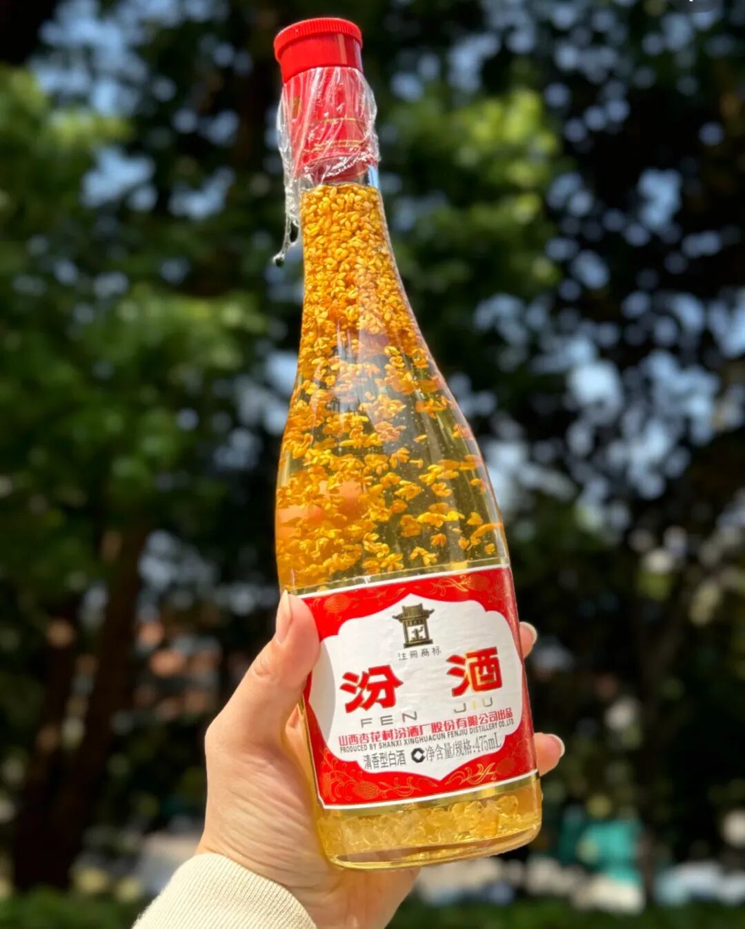 别等双11了,口粮酒已经到底