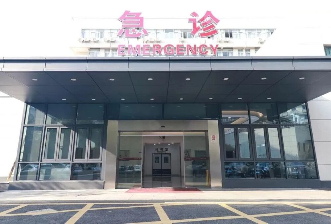 捡秋捡的“板栗”可能是毒马栗:煮烤晒都不去毒,绿化带果子认不准就别吃