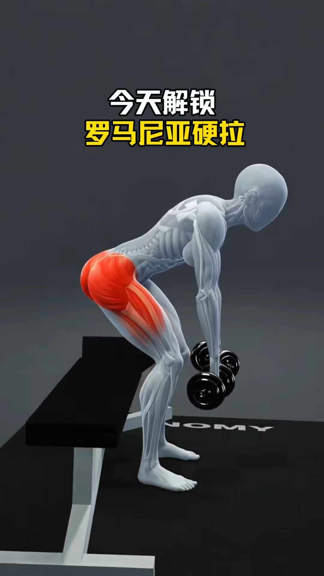 硬拉完腰紧上两天,怕腰突?别急着怪腰弱——弓背多半是三处设置错了:杠铃放回中足、贴墙和木杆重学推髋,用轻重量退阶;麻到膝盖以下,先去医院